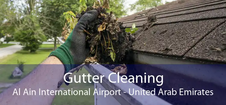 Gutter Cleaning Al Ain International Airport - United Arab Emirates