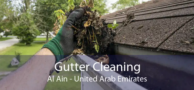 Gutter Cleaning Al Ain - United Arab Emirates