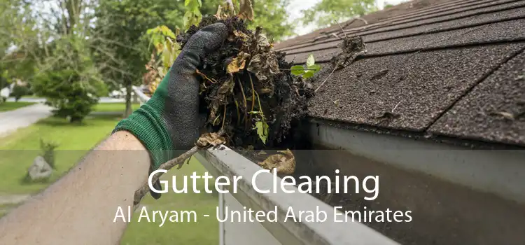 Gutter Cleaning Al Aryam - United Arab Emirates