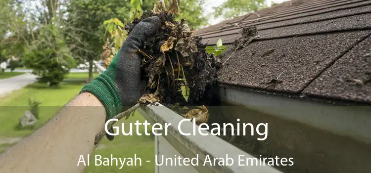 Gutter Cleaning Al Bahyah - United Arab Emirates