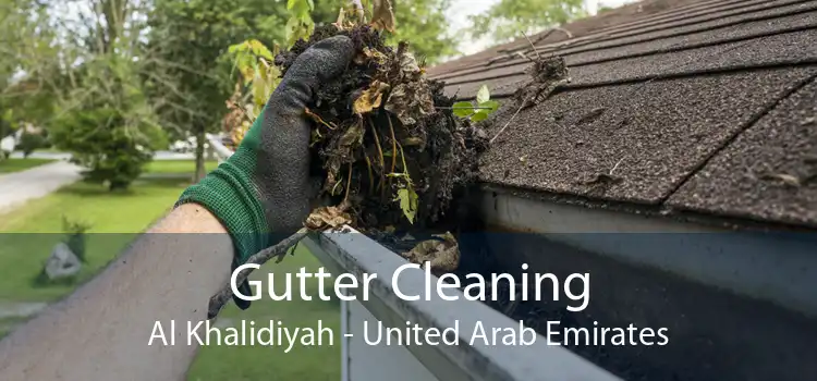 Gutter Cleaning Al Khalidiyah - United Arab Emirates