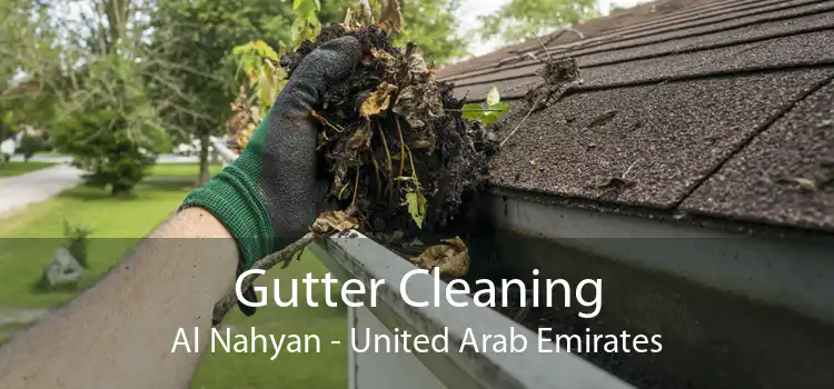 Gutter Cleaning Al Nahyan - United Arab Emirates