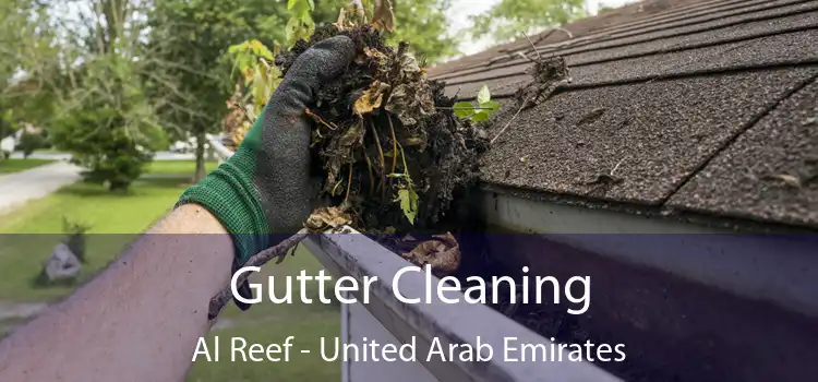 Gutter Cleaning Al Reef - United Arab Emirates