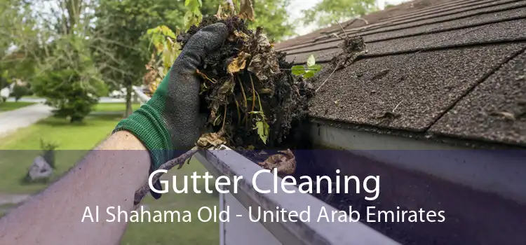 Gutter Cleaning Al Shahama Old - United Arab Emirates