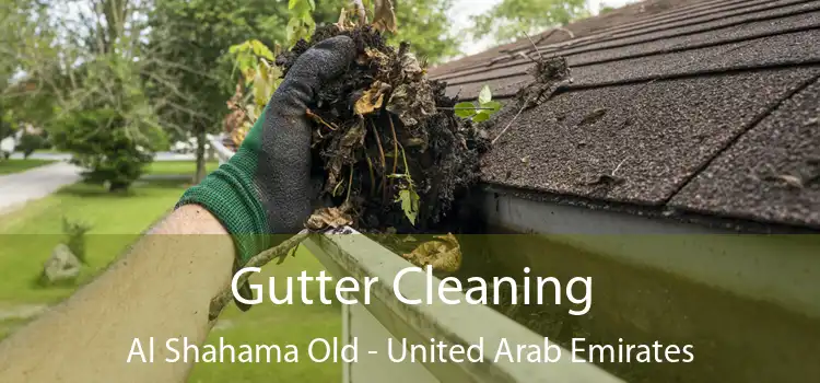 Gutter Cleaning Al Shahama Old - United Arab Emirates