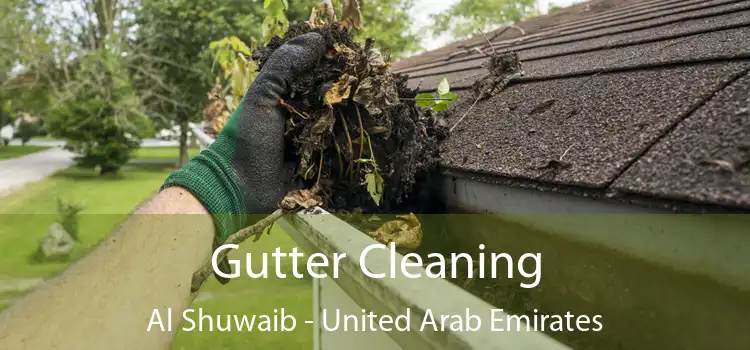 Gutter Cleaning Al Shuwaib - United Arab Emirates