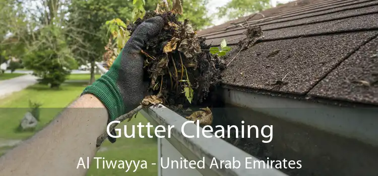 Gutter Cleaning Al Tiwayya - United Arab Emirates