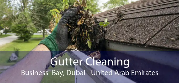 Gutter Cleaning Business  Bay, Dubai - United Arab Emirates