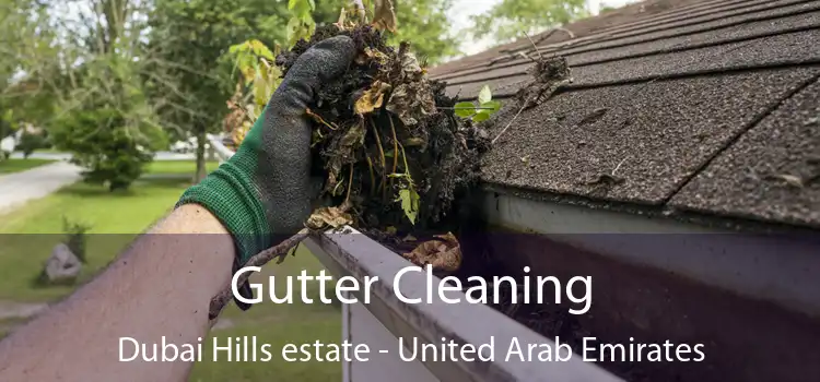 Gutter Cleaning Dubai Hills estate - United Arab Emirates