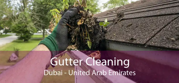 Gutter Cleaning Dubai - United Arab Emirates