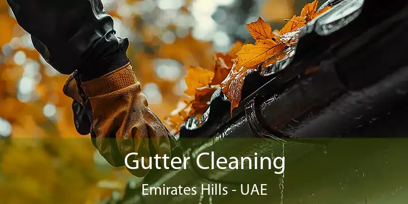  Gutter Cleaning Emirates Hills - UAE