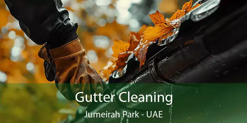  Gutter Cleaning Jumeirah Park - UAE