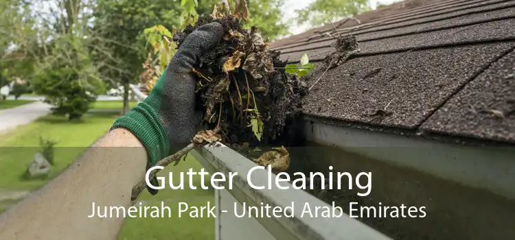 Gutter Cleaning Jumeirah Park - United Arab Emirates