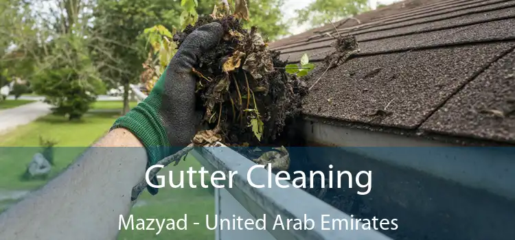 Gutter Cleaning Mazyad - United Arab Emirates