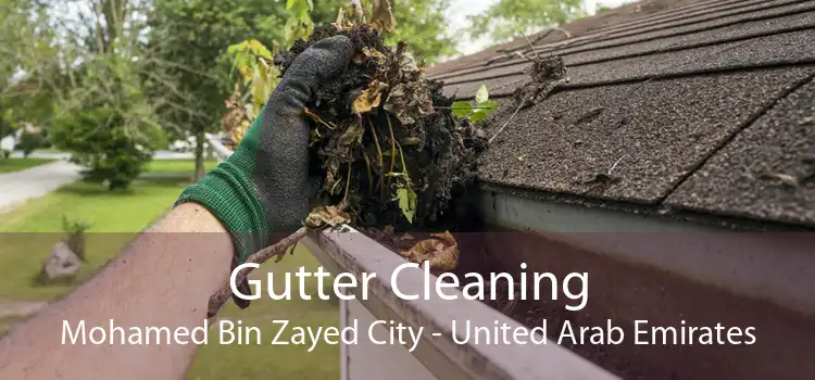 Gutter Cleaning Mohamed Bin Zayed City - United Arab Emirates