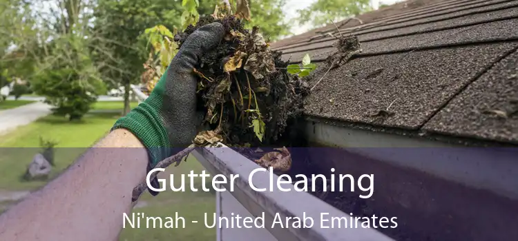 Gutter Cleaning Ni'mah - United Arab Emirates