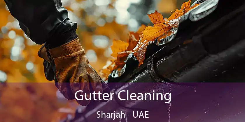  Gutter Cleaning Sharjah - UAE