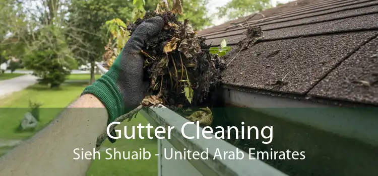 Gutter Cleaning Sieh Shuaib - United Arab Emirates