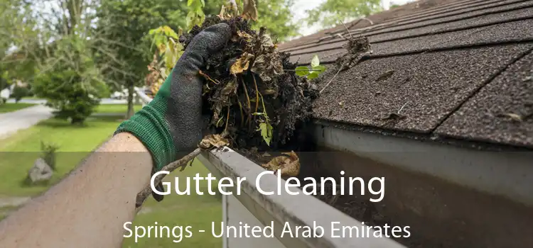 Gutter Cleaning Springs - United Arab Emirates
