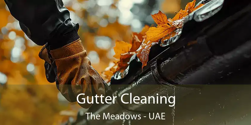  Gutter Cleaning The Meadows - UAE