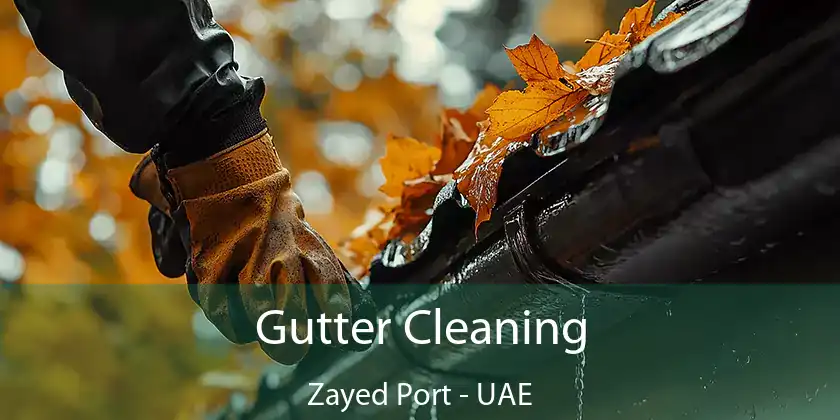 Gutter Cleaning Zayed Port - UAE