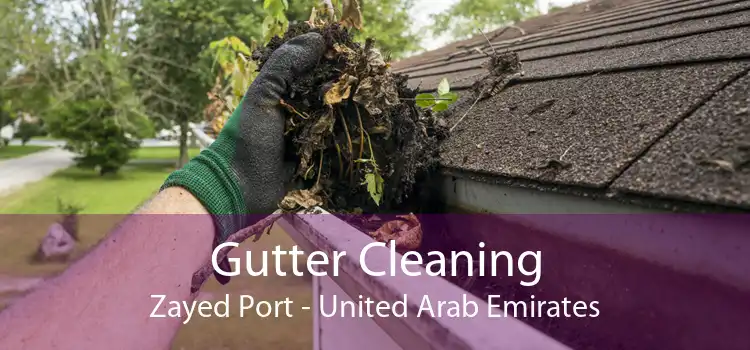 Gutter Cleaning Zayed Port - United Arab Emirates