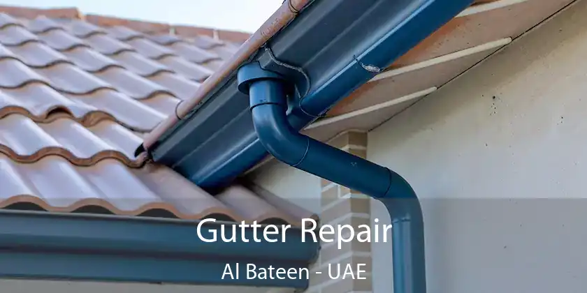  Gutter Repair Al Bateen - UAE