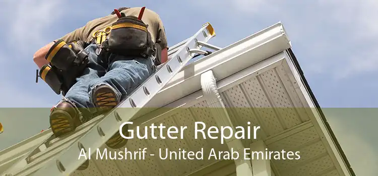 Gutter Repair Al Mushrif - United Arab Emirates