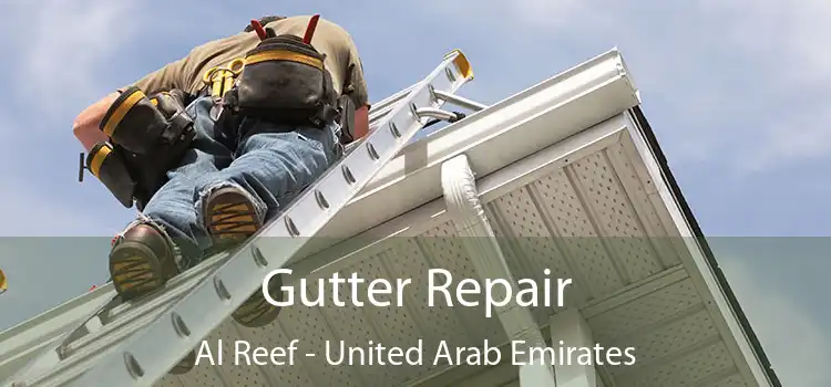 Gutter Repair Al Reef - United Arab Emirates