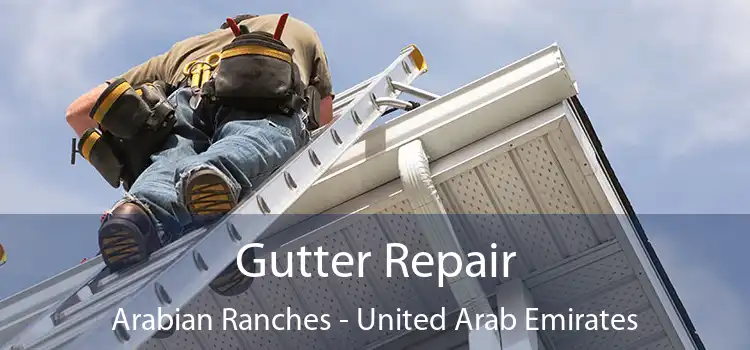 Gutter Repair Arabian Ranches - United Arab Emirates