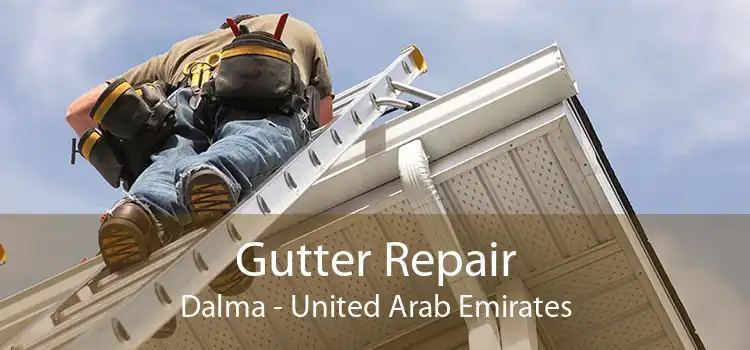 Gutter Repair Dalma - United Arab Emirates