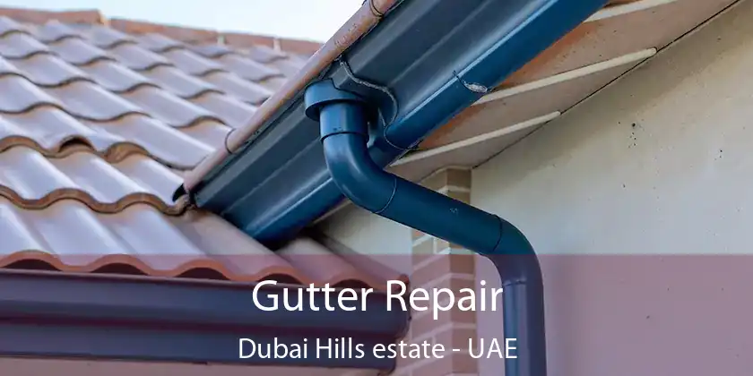 Gutter Repair Dubai Hills estate - UAE