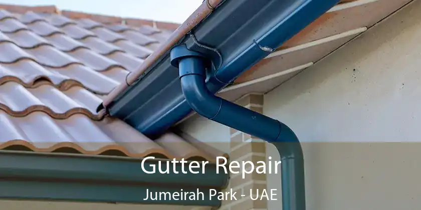  Gutter Repair Jumeirah Park - UAE