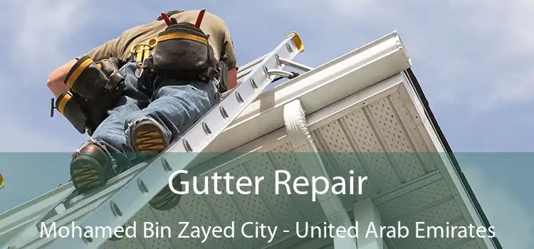 Gutter Repair Mohamed Bin Zayed City - United Arab Emirates