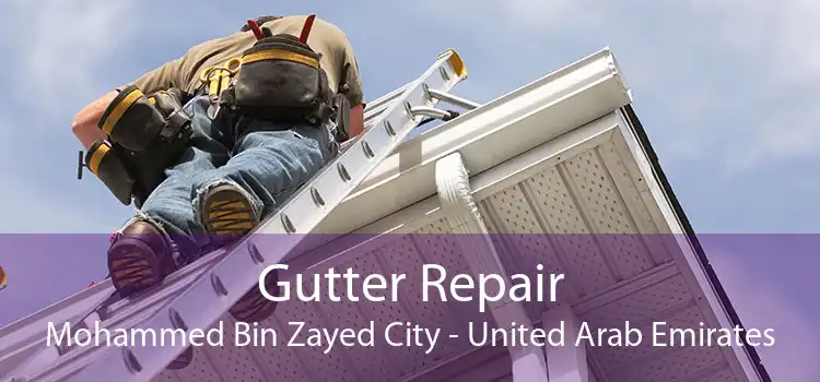 Gutter Repair Mohammed Bin Zayed City - United Arab Emirates