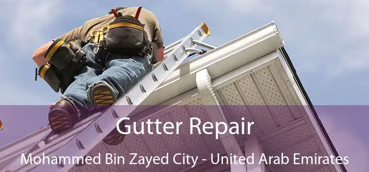 Gutter Repair Mohammed Bin Zayed City - United Arab Emirates