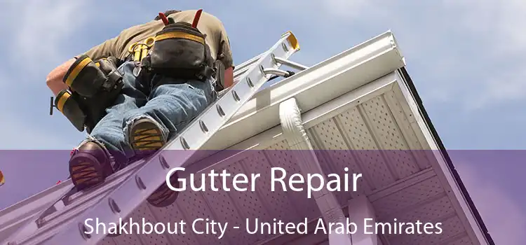 Gutter Repair Shakhbout City - United Arab Emirates