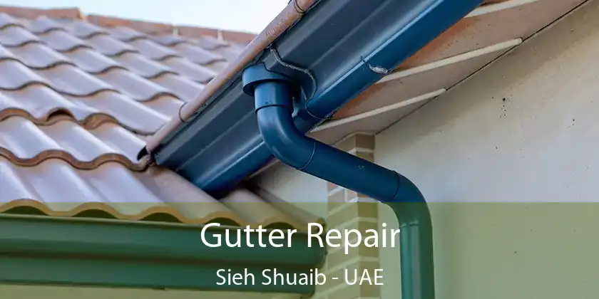 Gutter Repair Sieh Shuaib - UAE
