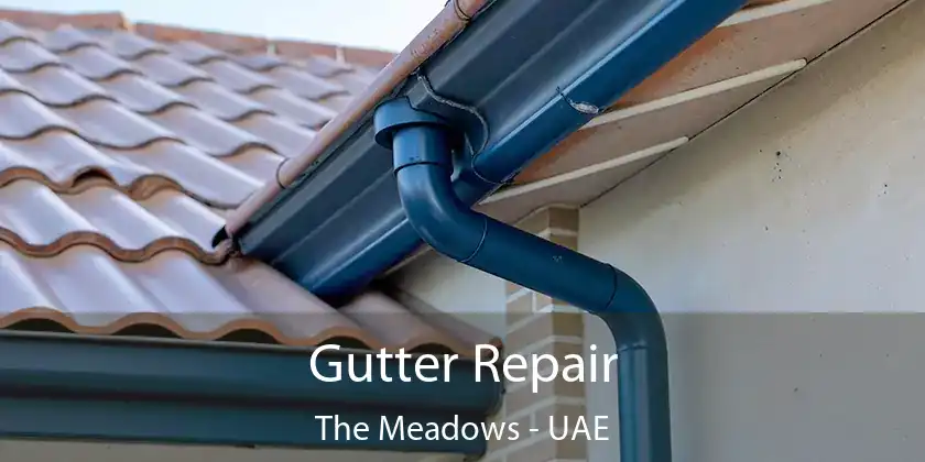  Gutter Repair The Meadows - UAE