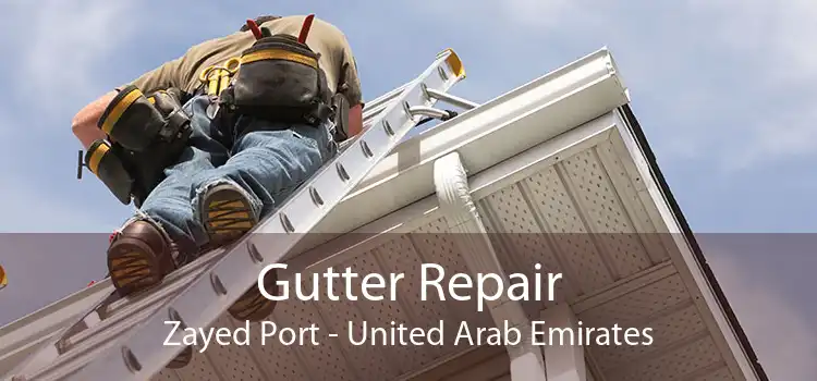 Gutter Repair Zayed Port - United Arab Emirates