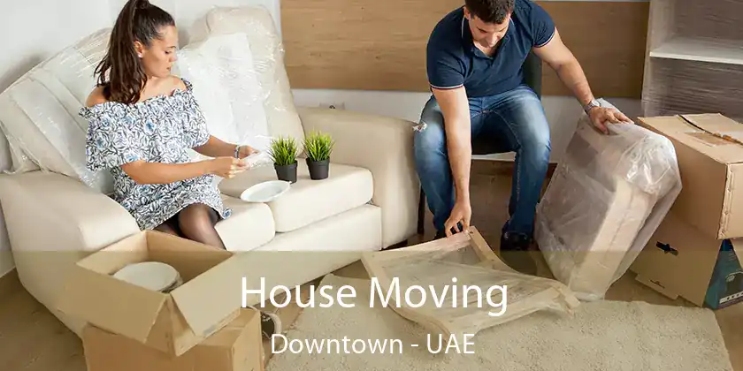  House Moving Downtown - UAE