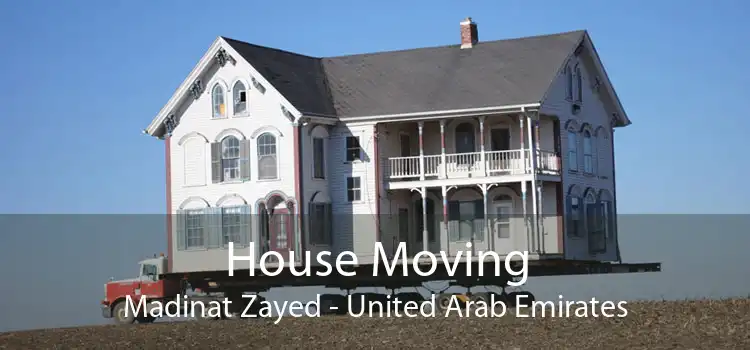 House Moving Madinat Zayed - United Arab Emirates
