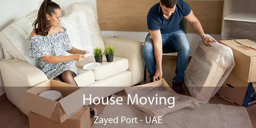 House Moving Zayed Port - UAE