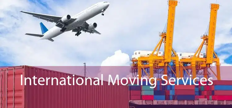 International Moving Services 