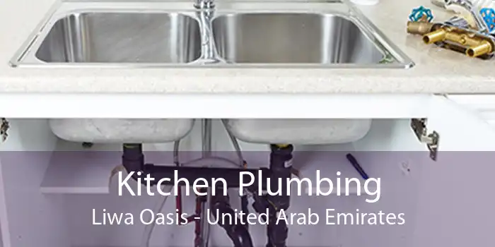 Kitchen Plumbing Liwa Oasis - United Arab Emirates