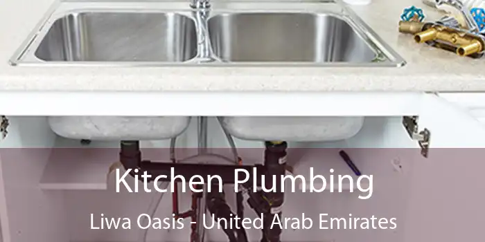 Kitchen Plumbing Liwa Oasis - United Arab Emirates