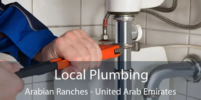 Local Plumbing Arabian Ranches - United Arab Emirates