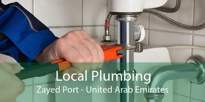 Local Plumbing Zayed Port - United Arab Emirates