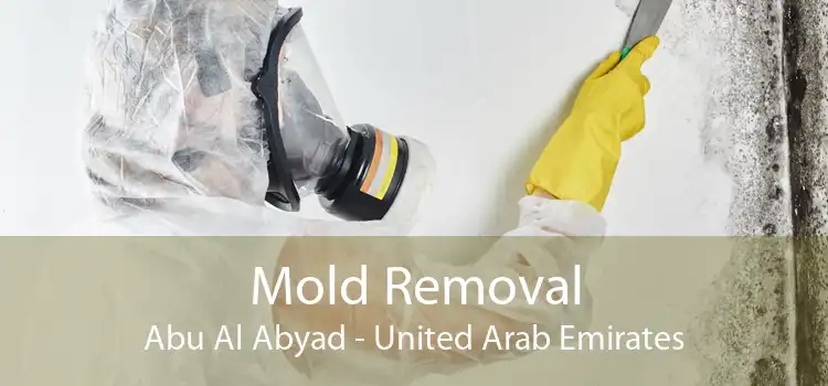 Mold Removal Abu Al Abyad - United Arab Emirates