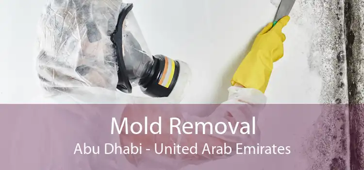 Mold Removal Abu Dhabi - United Arab Emirates